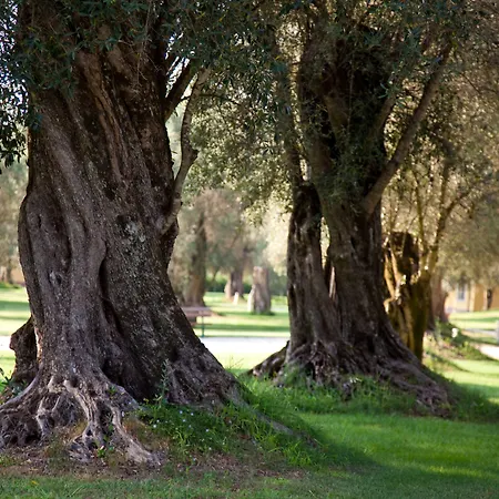 Uliveto Principessa Park 4*