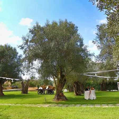 Uliveto Principessa Park Hotel Reggio Calabria