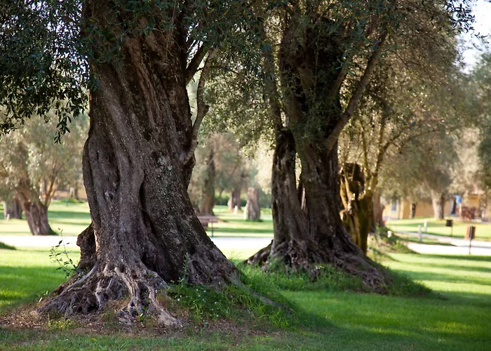 Uliveto Principessa Park 4*